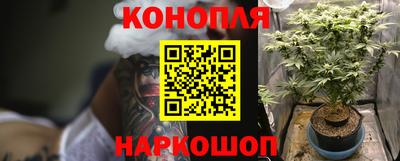 дурь Гусиноозёрск