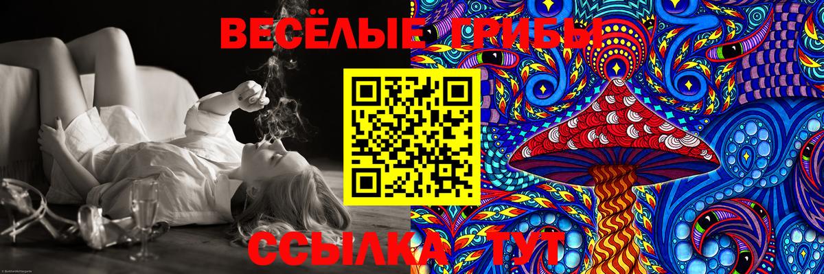 Псилоцибиновые грибы Psilocybe Жуковский